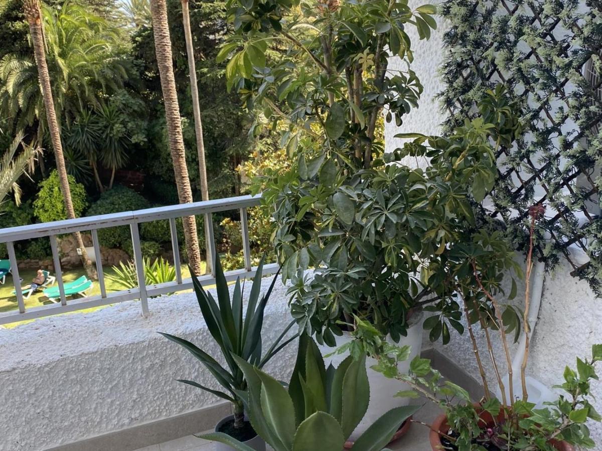 Apartamento 2 Muy Luminosos Con Grandes Terraza
